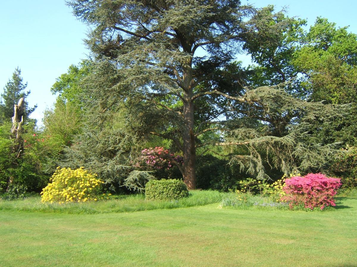 Hollybank House Bed & Breakfast Emsworth Exterior foto